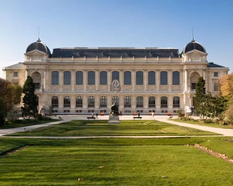 Priceless Golden Samples Taken in Audacious Raid at French Natural History Institution
