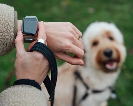 The Truth Concerning Wearable Tech? Living Is Better Without a Hectoring Device on Your Wristwear